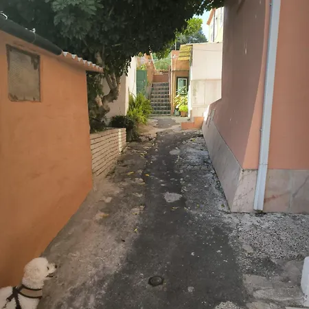 Apartamento Amalia *
